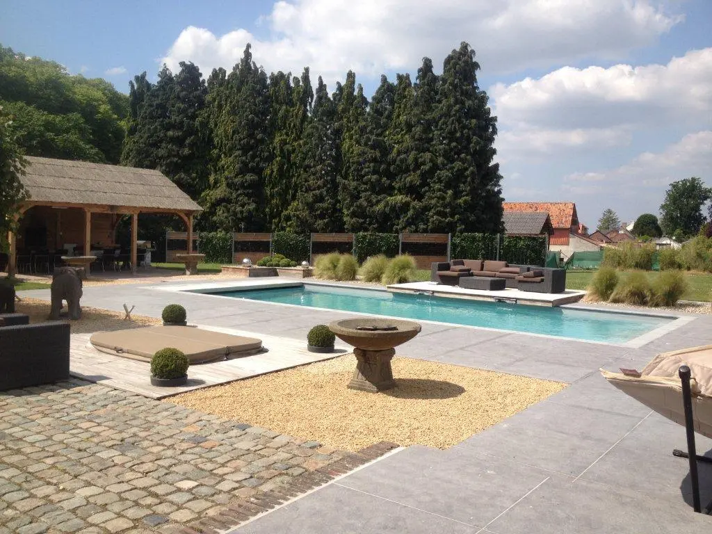 Piscine avec terrasse en bois